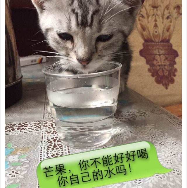 青山学院大学 Sociological degree